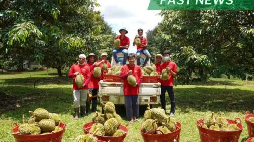 Established in 2002, Hongjiu is one of the top three fruit sellers in China, and grew rapidly during the Covid pandemic, and capable of high revenue and profit growth between 2020 and 2022.