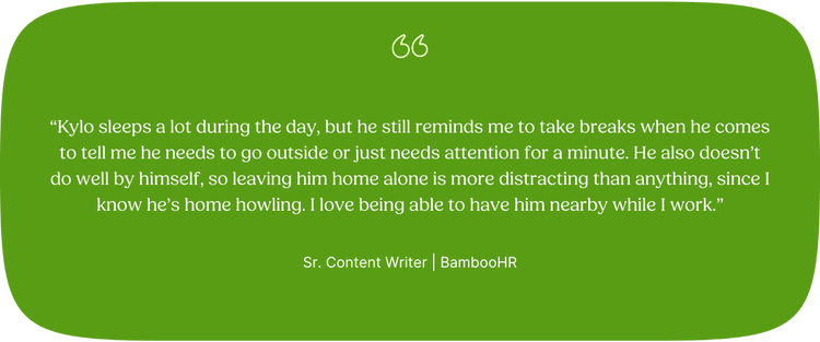 “Kylo sleeps a lot during the day, but he still reminds me to take breaks when he comes to tell me he needs to go outside or just needs attention for a minute. He also doesn’t do well by himself, so leaving him home alone is more distracting than anything, since I know he’s home howling. I love being able to have him nearby while I work.” —Rebekah, Sr. Content Writer, BambooHR
