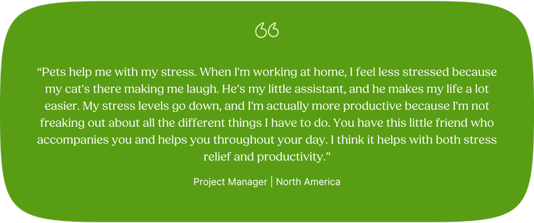 “Pets help me with my stress. When I'm working at home, I feel less stressed because my cat's there making me laugh. He’s my little assistant, and he makes my life a lot easier. My stress levels go down, and I'm actually more productive because I'm not freaking out about all the different things I have to do. You have this little friend who accompanies you and helps you throughout your day. I think it helps with both stress relief and productivity.” HR Project Manager, North America