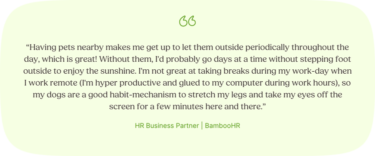 “Having pets nearby makes me get up to let them outside periodically throughout the day, which is great! Without them, I'd probably go days at a time without stepping foot outside to enjoy the sunshine. I'm not great at taking breaks during my work-day when I work remote (I'm hyper productive and glued to my computer during work hours), so my dogs are a good habit-mechanism to stretch my legs and take my eyes off the screen for a few minutes here and there.” —Monica, HR Business Partner, BambooHR